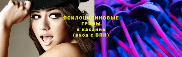 дживик Абинск