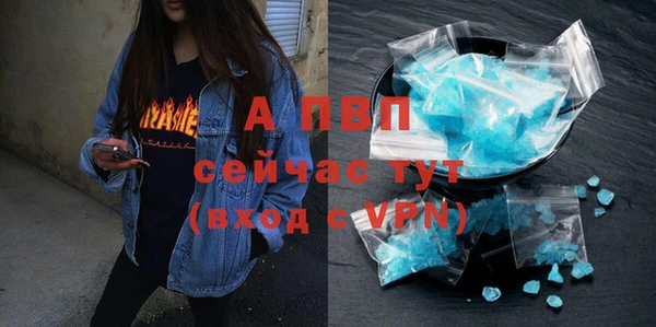 дживик Абинск