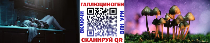 где продают наркотики  Серпухов  Псилоцибиновые грибы прущие грибы 